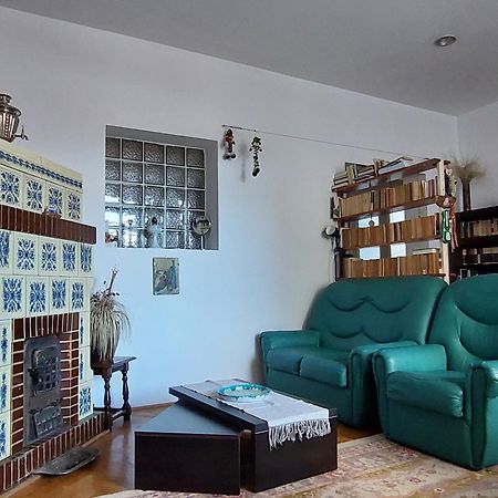 Mirmar - Blumenau Villa 布拉索夫 外观 照片